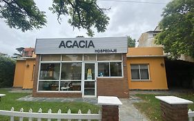 Hospedaje Acacia